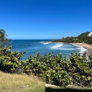 Meet your Posher, Zoé